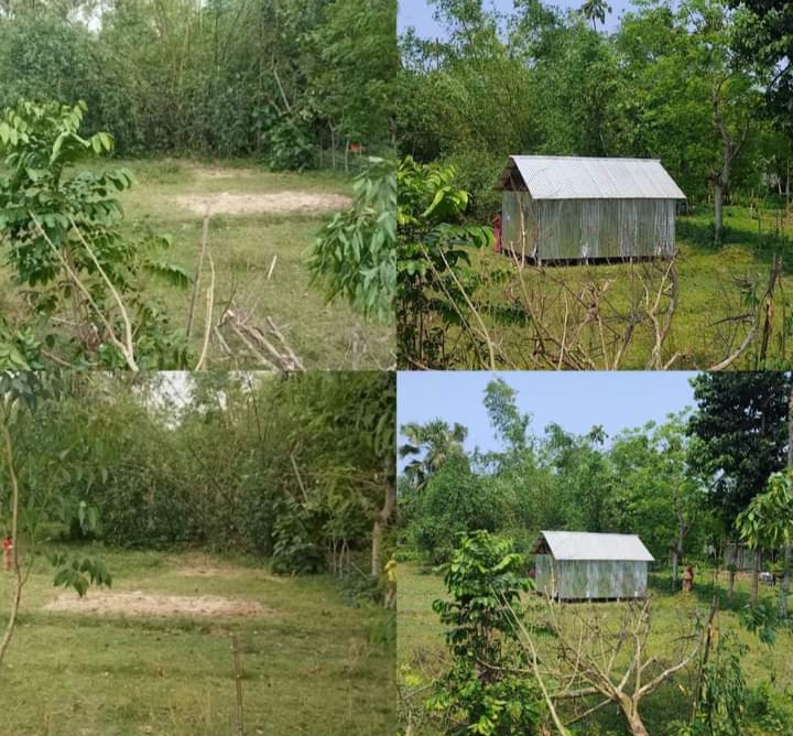পরানগঞ্জে আসমা খাতুনের উপর সন্ত্রাসী হামলা ও বাড়ি ঘর ভাংচুর করেন সন্ত্রাসী তাইজুদ্দিন