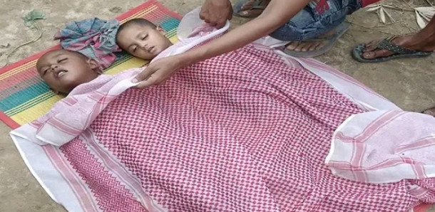 বাহুবলে পানিতে ডুবে দুই শিশুর মৃত্যু