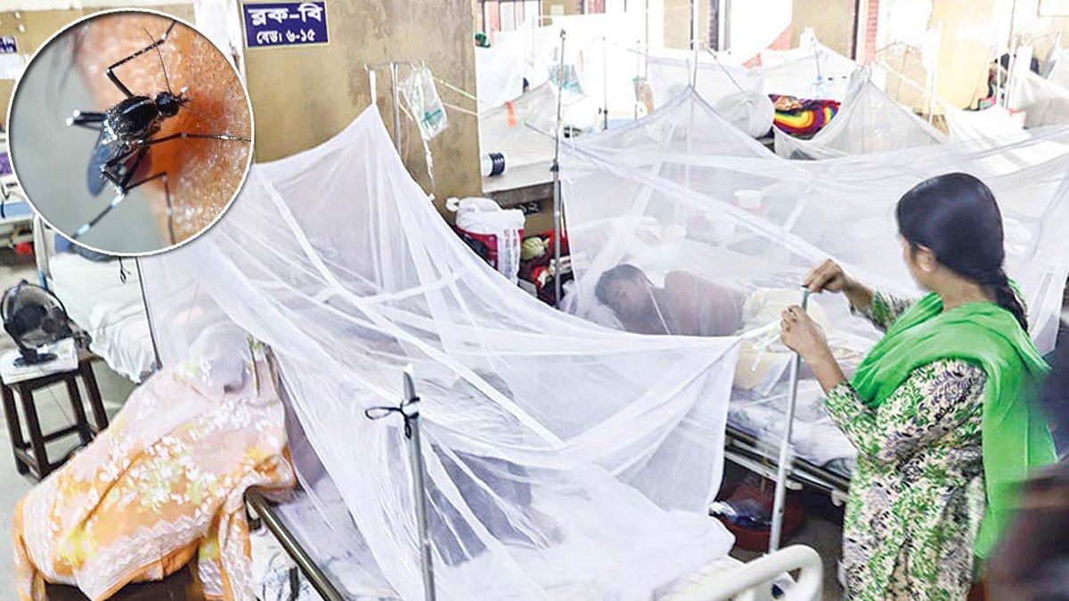 একদিনে আরও ৪৭ ডেঙ্গু রোগী হাসপাতালে