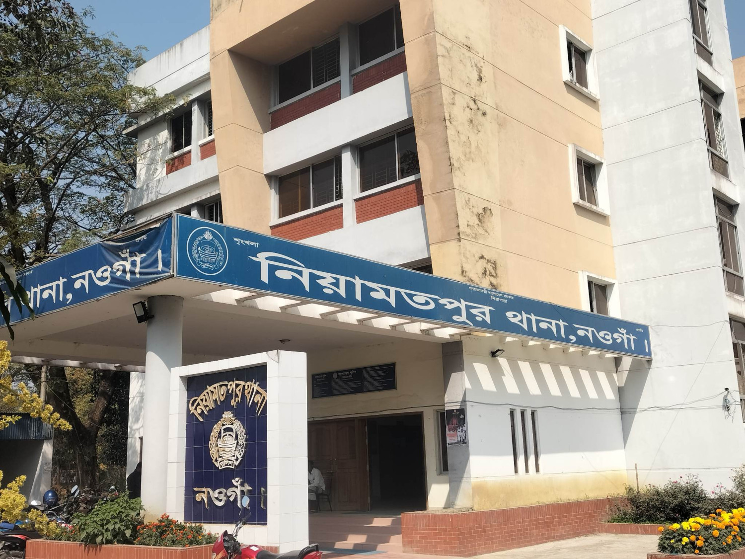 নিয়ামতপুরে গাঁজাসহ গ্রেপ্তার এক