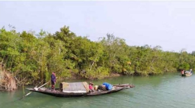 নিয়মিত মাসোহারা দিয়ে বিষ দিয়ে মাছ শিকার  থামছে না সুন্দরবনে