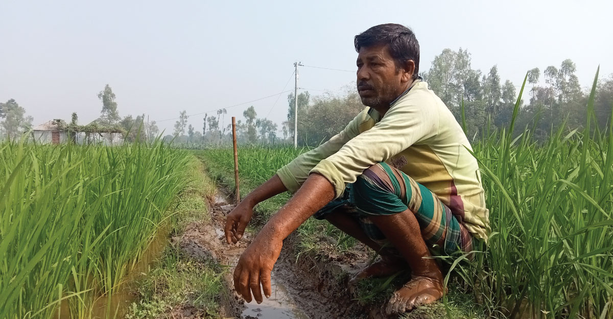 বাড়তি খরচে কৃষকের কপালে দুশ্চিন্তার ভাঁজ