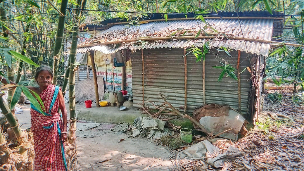 জঙ্গলের ঘর বেঁধে, বৃদ্ধার মানবেতর জীবনযাপন