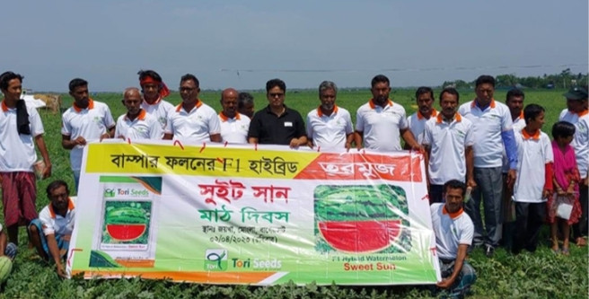 মোংলায় তরী বীজে তরমুজের বাম্পার ফলন
