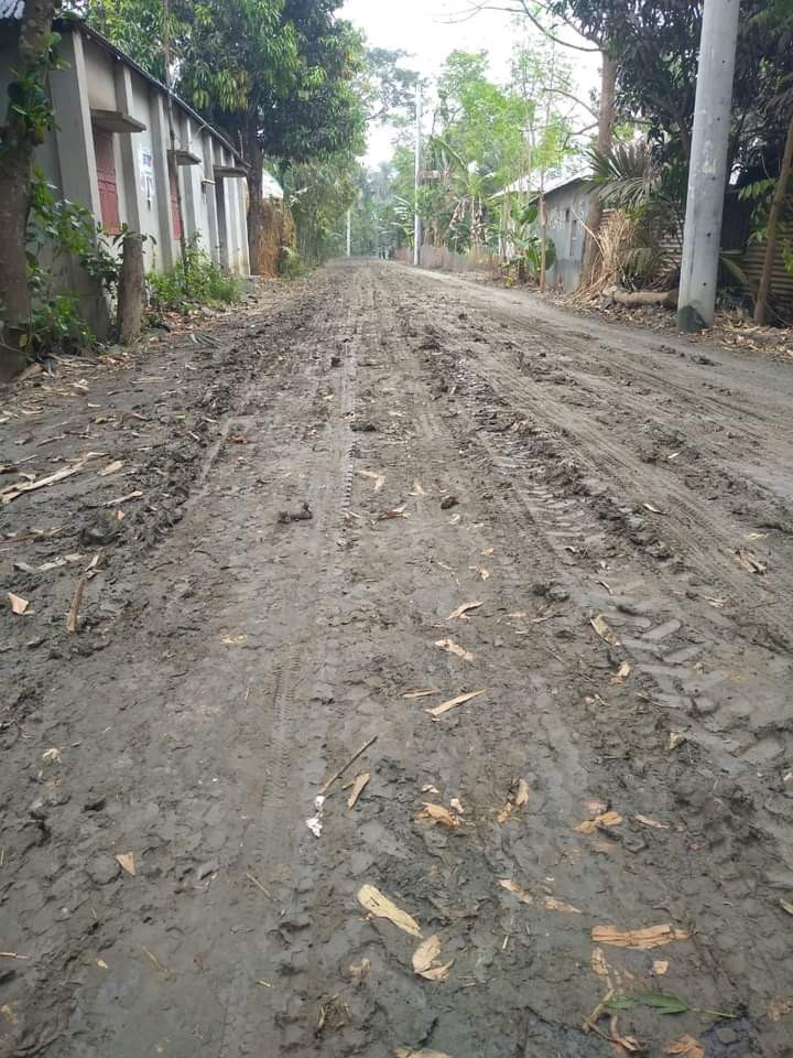 ভেকু দিয়ে মাটি কাটার কারনেই পাকা সড়ক কাঁচায় পরিনত ও ভোগান্তিতে জনগন
