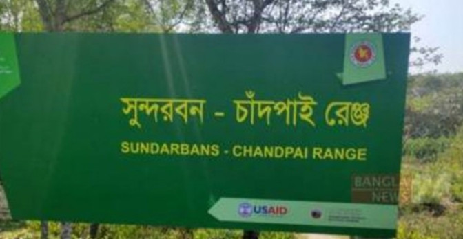 মোংলা সুন্দরবনে জেলেদের হামলায় ৭ জন বন কর্মকর্তা আহত