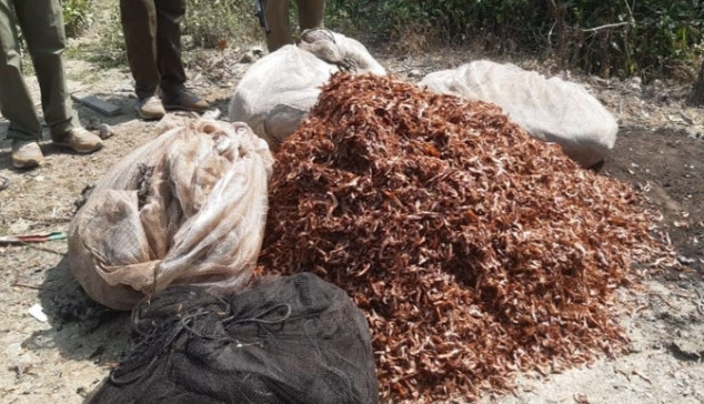 জেলেরা অবৈধ শুটকি ফেলে পালালোও তিনটি নৌকা আটক